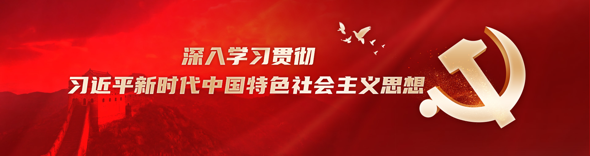 黨的建設(shè)
